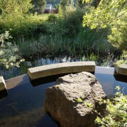 Pineview Valley Park 20