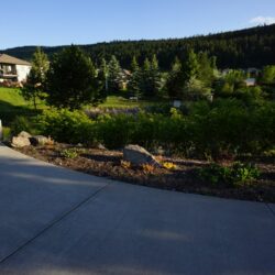 Pineview Valley Park 23