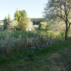 Pineview Valley Park 25