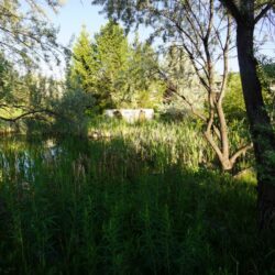 Pineview Valley Park 26