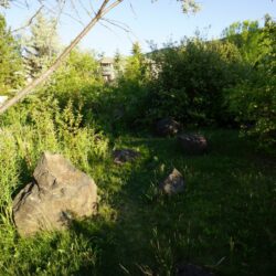 Pineview Valley Park 27