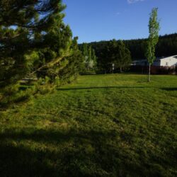 Pineview Valley Park 32