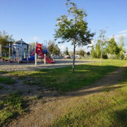 Pineview Valley Park 3