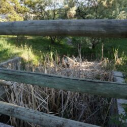 Pineview Valley Park 7