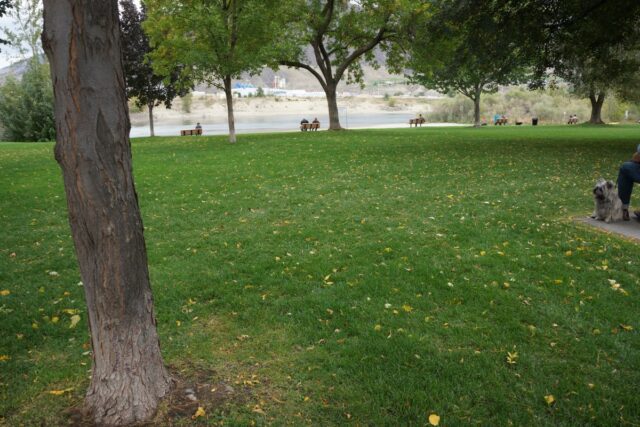 Pioneer Park 4