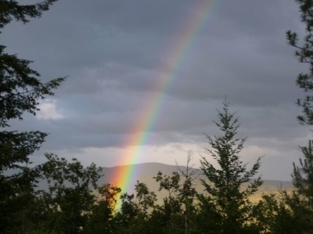 Rainbow's Roost