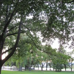 Riverside Park 29