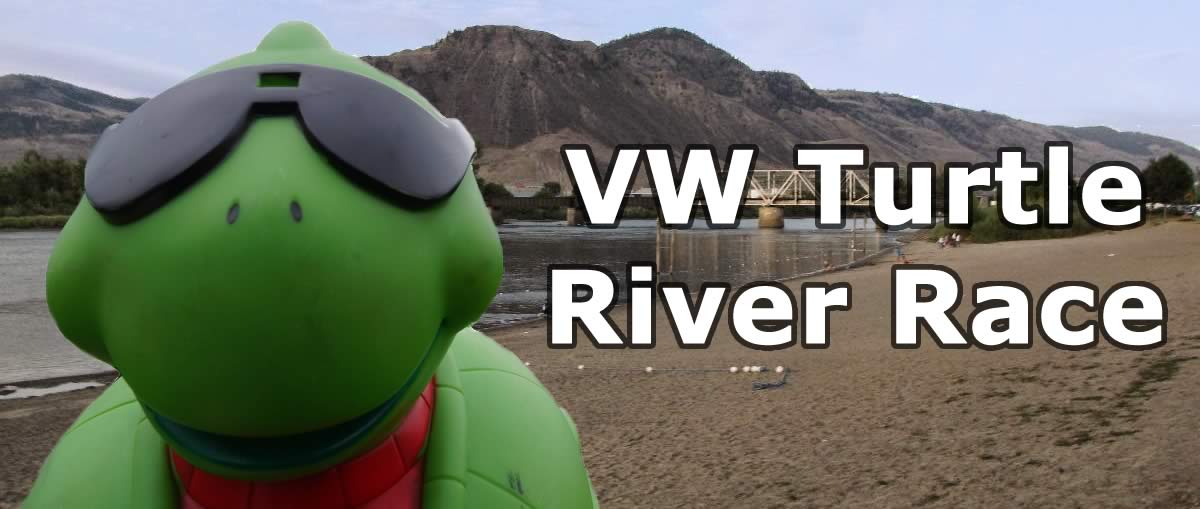 VW Turtle Race