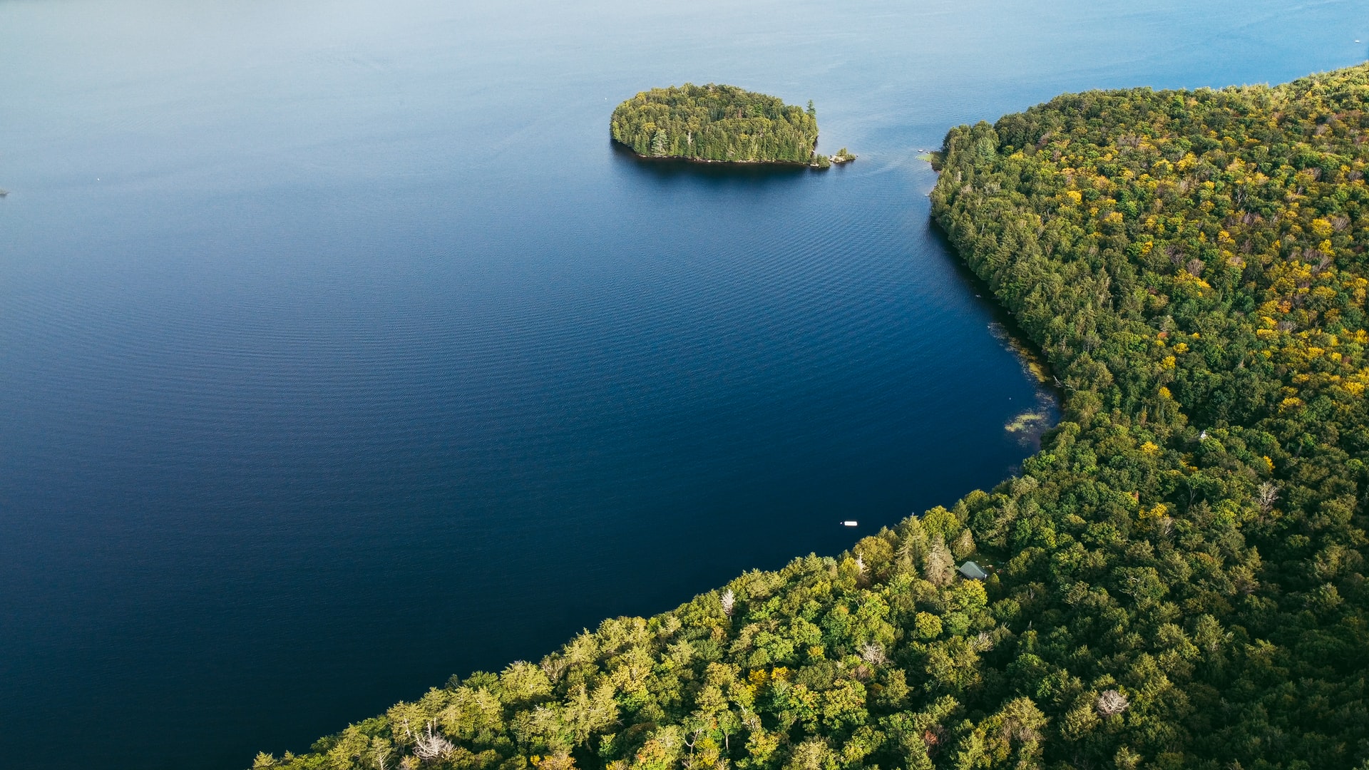 Green moss on rock formation beside body of water.