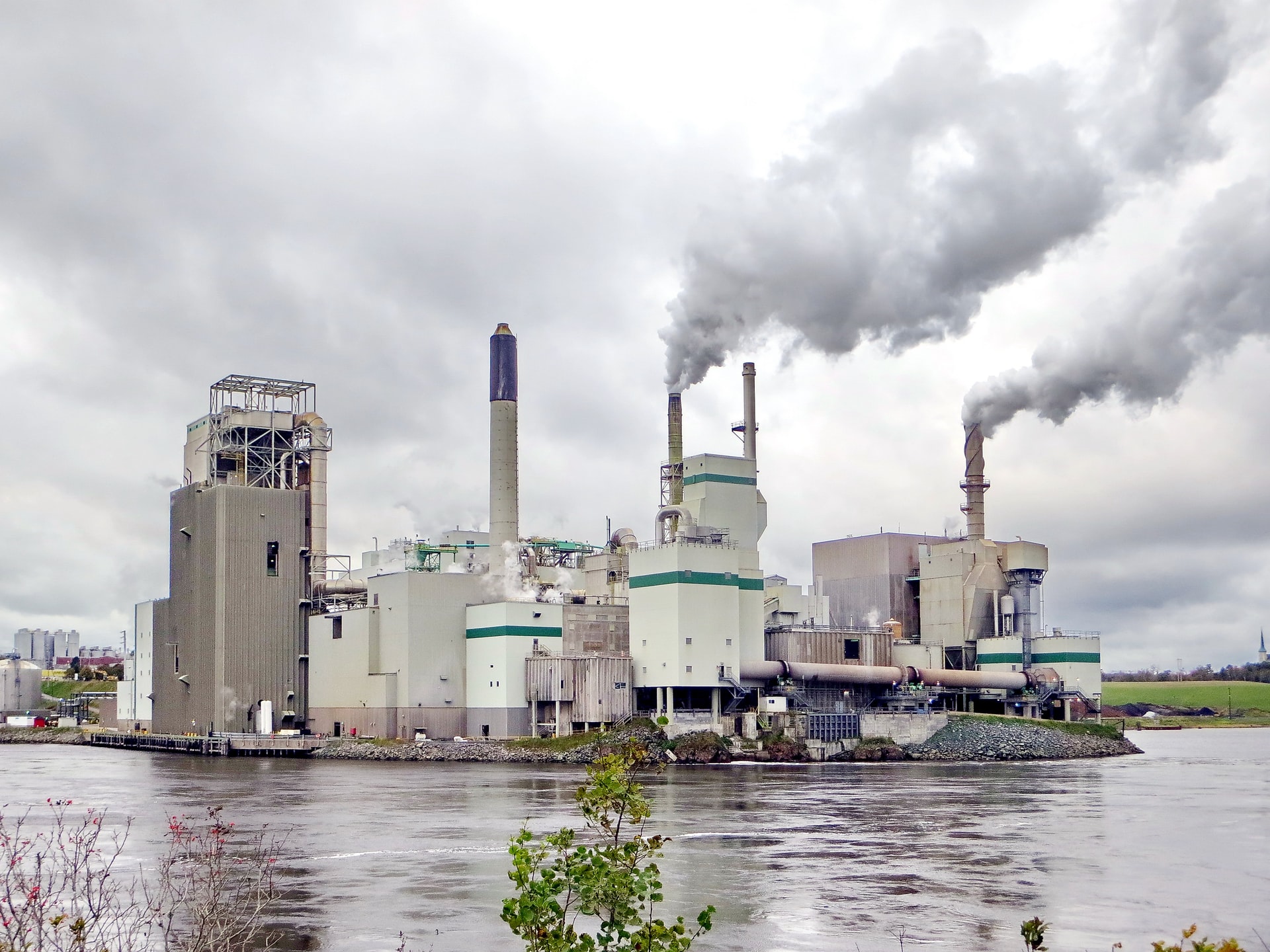 White and green factory building near body of water during daytime.