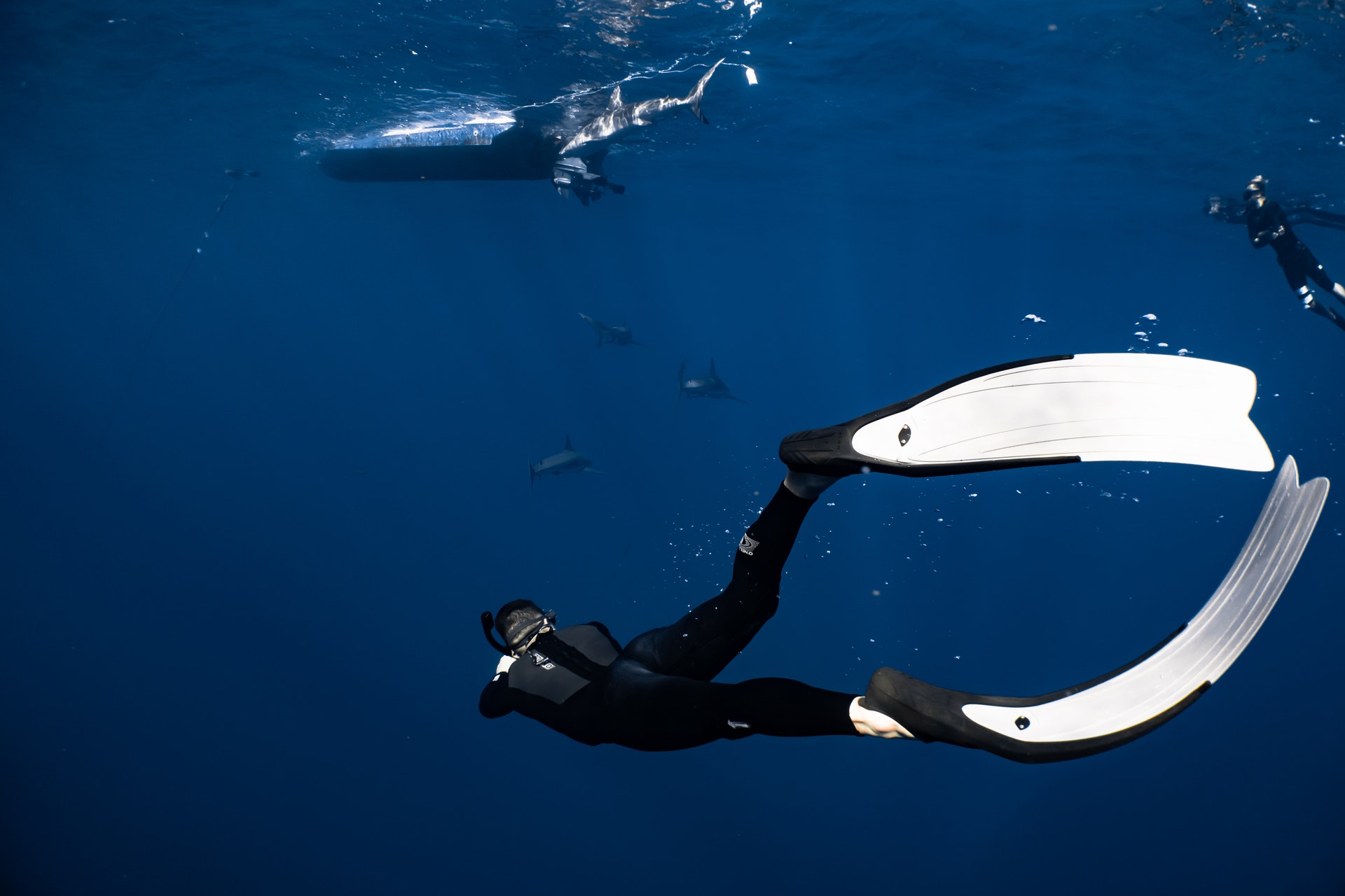 Diver swimming in blue ocean.