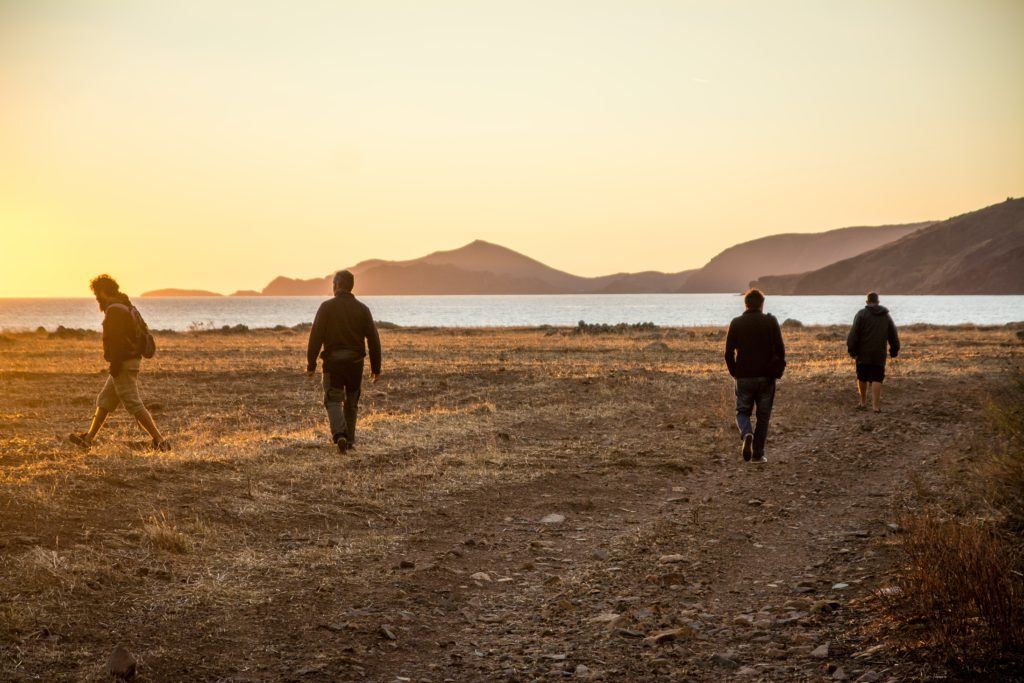 Four people walking on brown sand beach during sunset.
