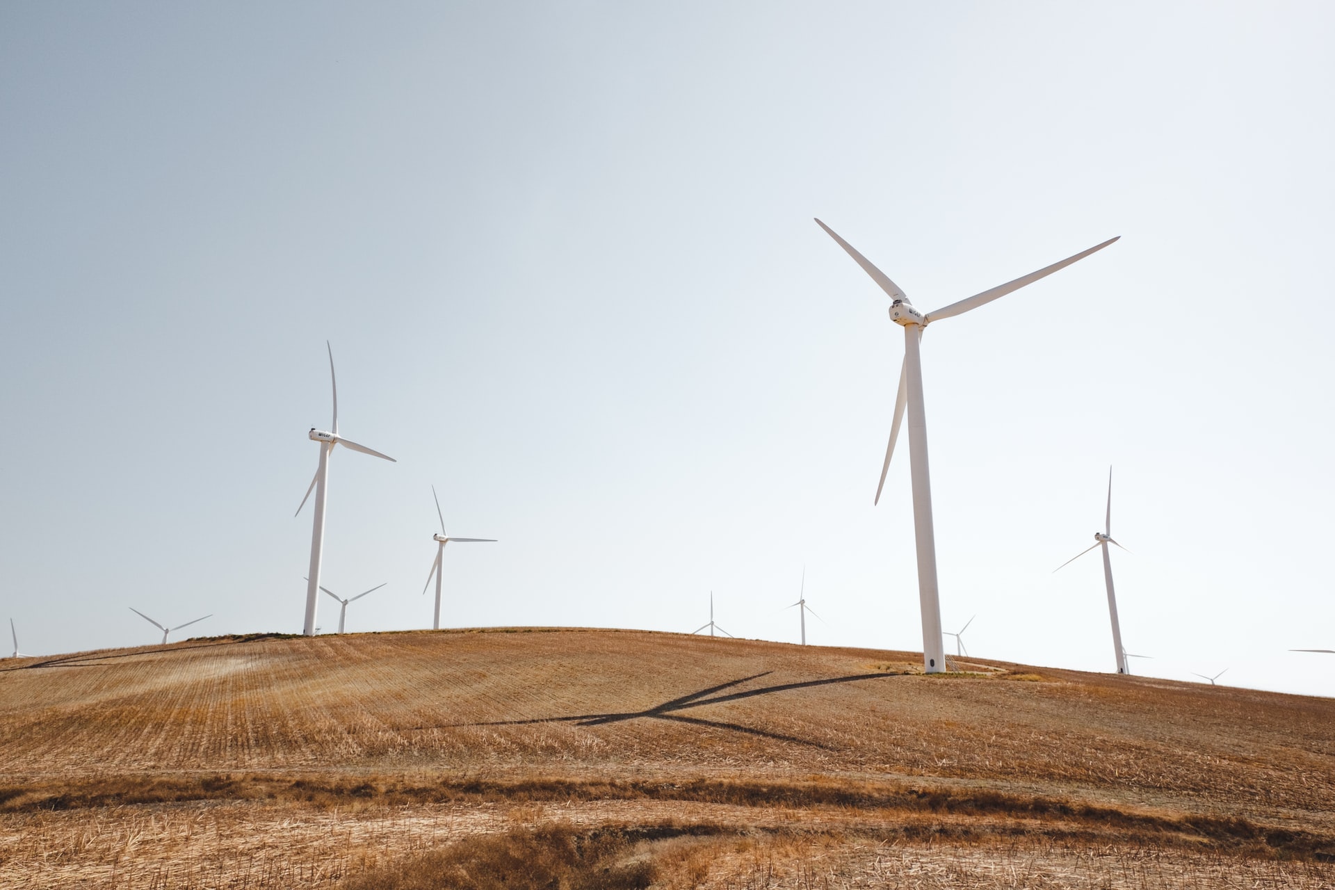 White windmills during daytime