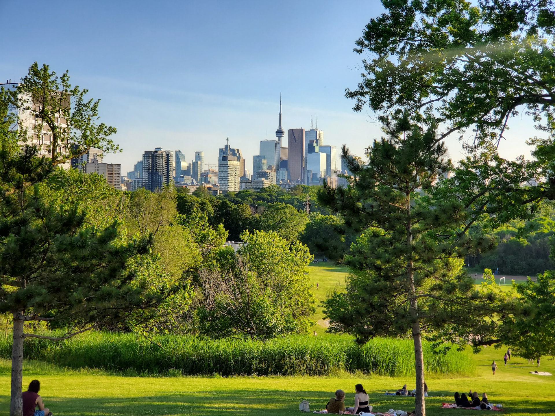 Trees help cities tackle climate crisis and inequality