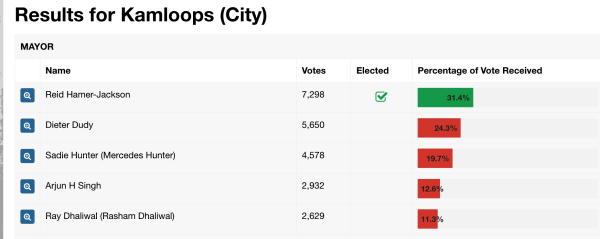 Thoughts on why I placed where I did in this year's Mayoral election....
