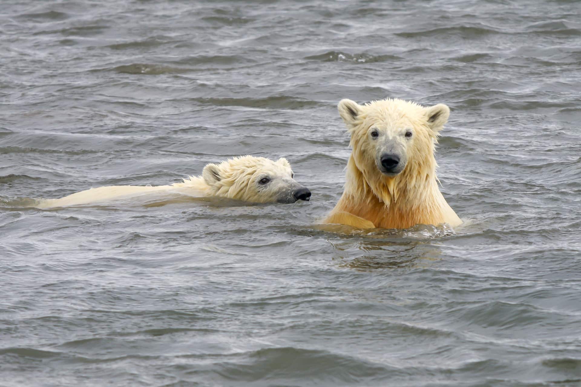 When will warming warnings kick-start critical climate action?