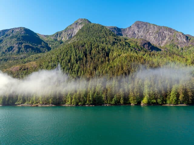 Great Bear Sea initiative shows vision of Indigenous leadership