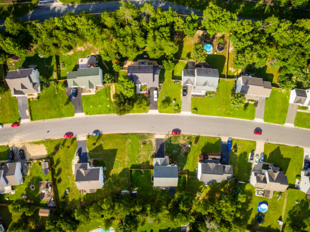 It’s time to ditch the lawn and go natural!