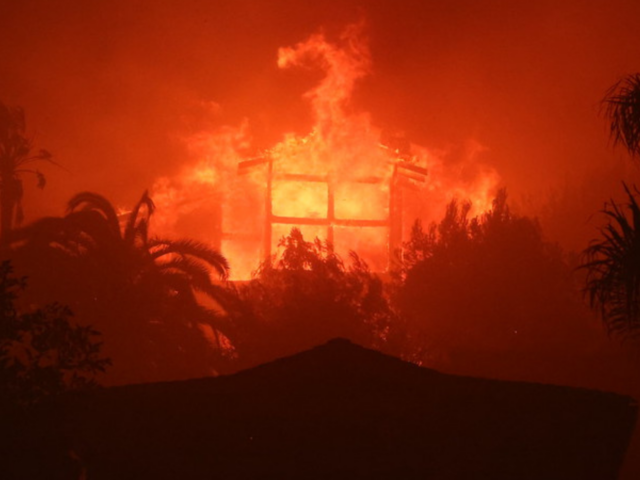 Los Angeles wildfires illustrate climate “whiplash” effect