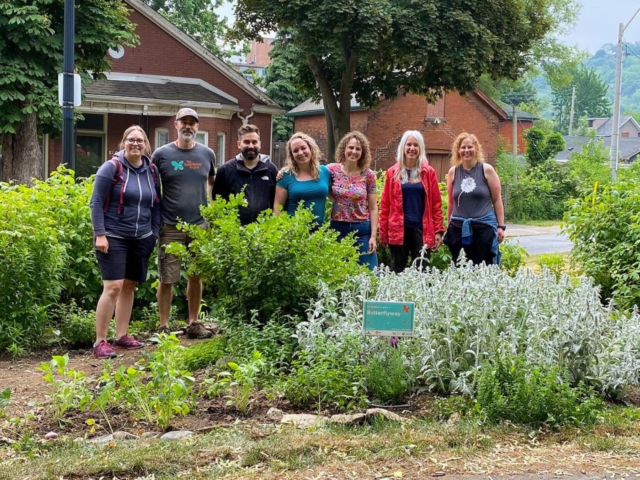 Creating neighbourhood networks for nature’s pollinator superheroes