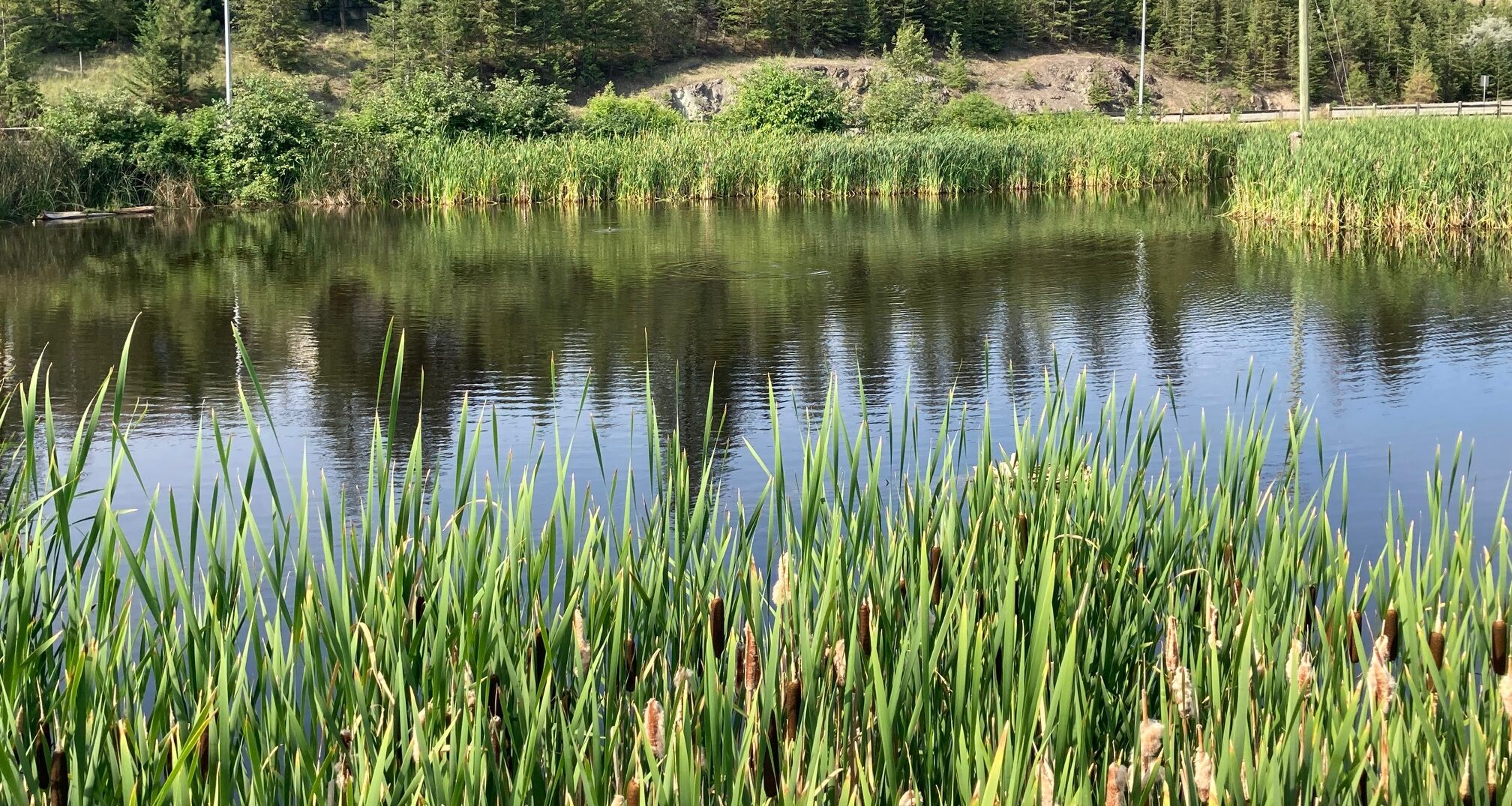 Green infrastructure in Kamloops—it’s here!