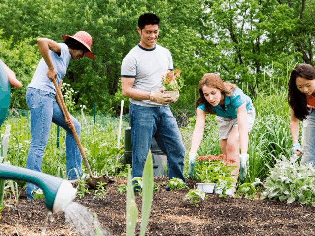 Get outside, meet people, have fun and save the world!