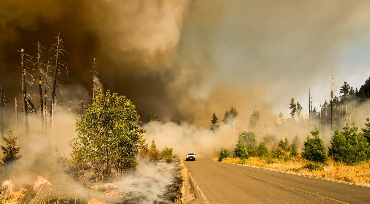 Communities respond to in-community wildfire training