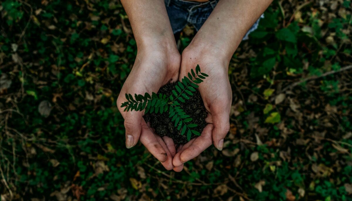 Earth Day 2026: Workers Power Solutions for Our Planet