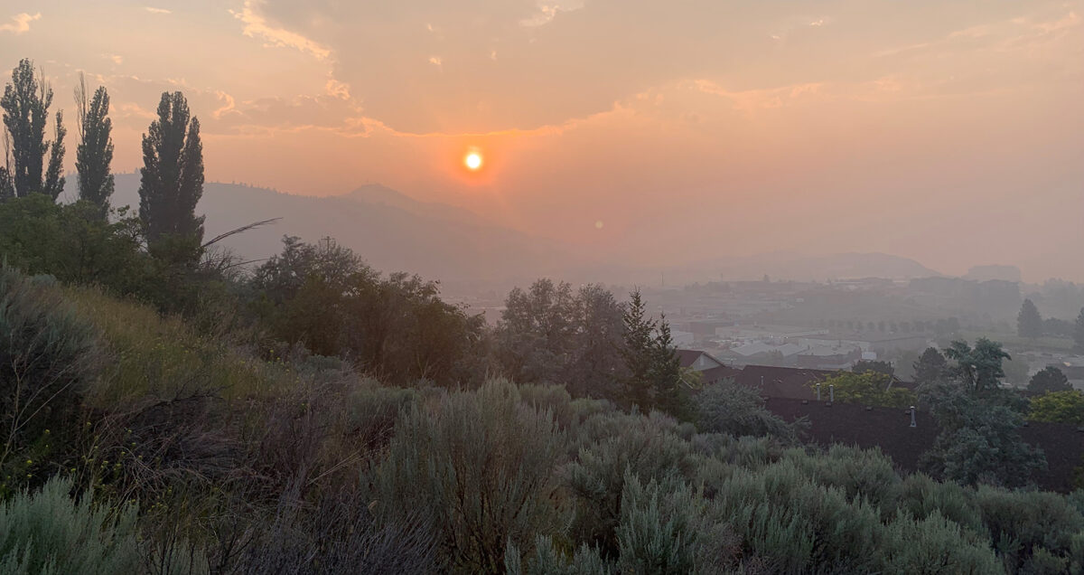 TRU student project explores AI prototype for early wildfire detection