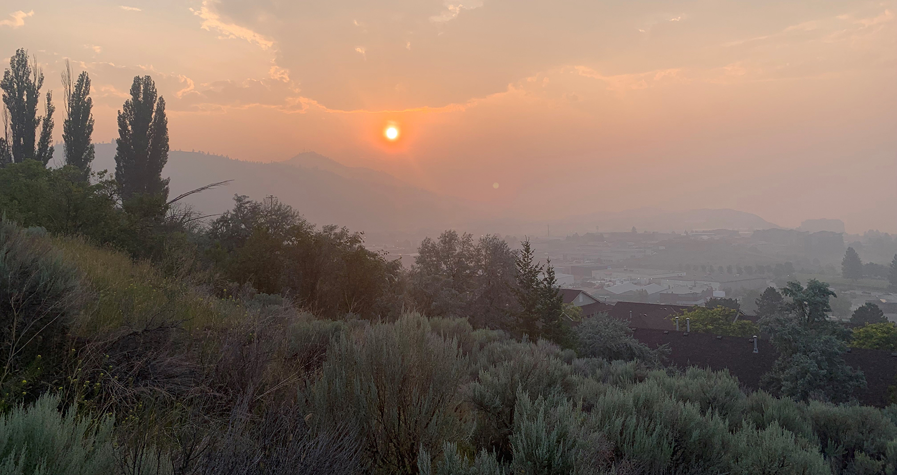 TRU student project explores AI prototype for early wildfire detection