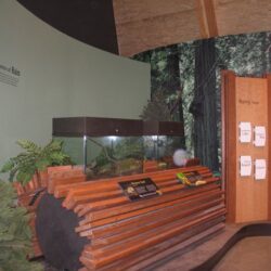 BC Wildlife Park 8
