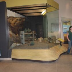 BC Wildlife Park 10
