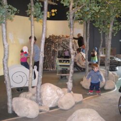 BC Wildlife Park 7
