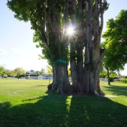 Brocklehurst Recreation Centre/Park 11