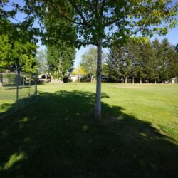 Brocklehurst Recreation Centre/Park 7