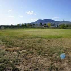 Crestline Park 5