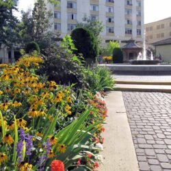 Gaglardi Square 19