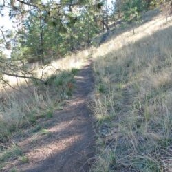 Kenna Cartwright Park 26