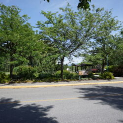 McArthur Island Park 14