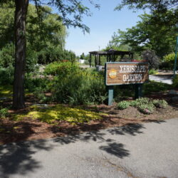 McArthur Island Park 16