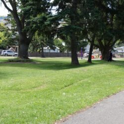 McDonald Park 12