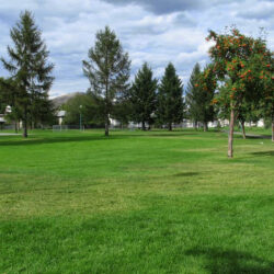 McDonald Park 3