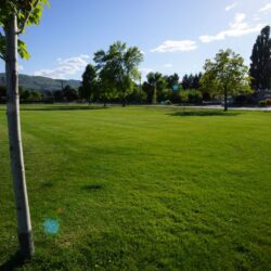 Parkcrest Park 3