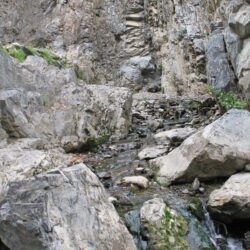 Peterson Creek Park 12