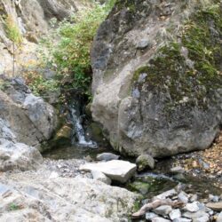 Peterson Creek Park 15