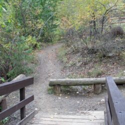 Peterson Creek Park 17