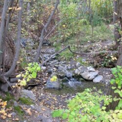 Peterson Creek Park 20