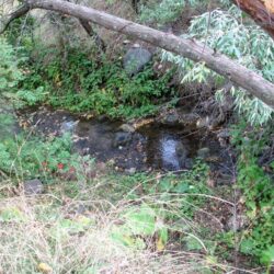 Peterson Creek Park 23