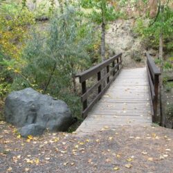Peterson Creek Park 25
