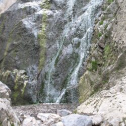 Peterson Creek Park 27